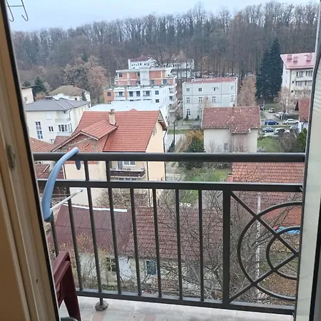 Vrnjacka Zora Apartman *