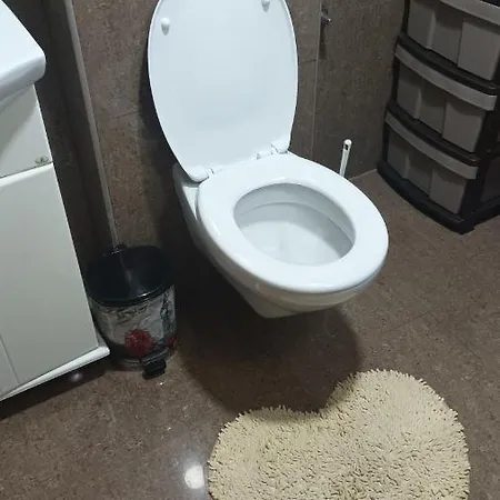 Vrnjacka Zora Apartment