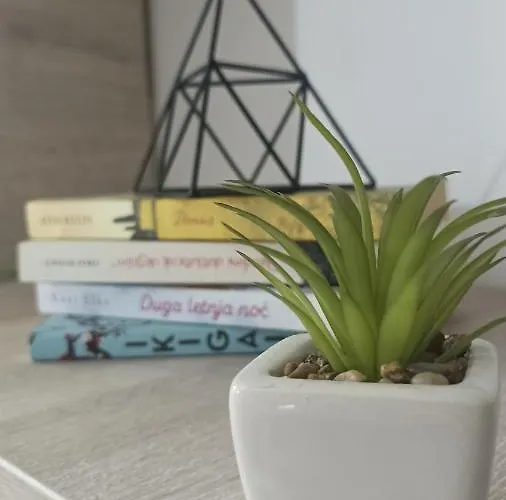 Vrnjacka Zora Vrnjačka Banja